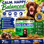 Hemp Calming Chews for Dogs – Dog Calming Chews & Anxiety Relief Treats with Melatonin–Stress Relief for Barking, Thunder, Fireworks, Travel & Separation Anxiety–Vet Formulated-Made in USA - 120 Chews