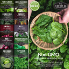 Cool Season Vegetable Seeds Variety Pack for Planting
