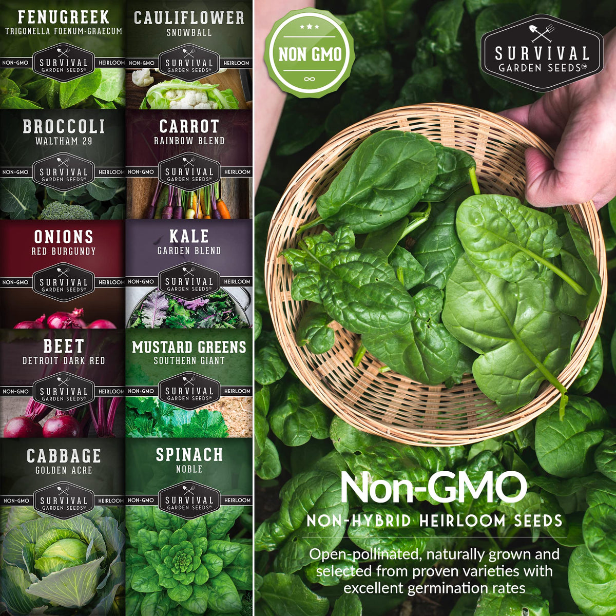 Cool Season Vegetable Seeds Variety Pack for Planting