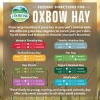 Buy now Oxbow Oat Hay, Rabbit & Guinea Pig Hay, High Fiber for Digestive Health, Grown in the USA, Veterinarian Recommended Small Pet Supplies, for Rabbits, Guinea Pigs, & Chinchillas, 15 oz. at indiglob india
