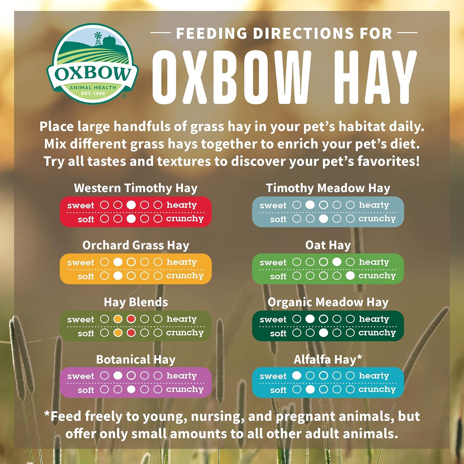 Buy now Oxbow Oat Hay, Rabbit & Guinea Pig Hay, High Fiber for Digestive Health, Grown in the USA, Veterinarian Recommended Small Pet Supplies, for Rabbits, Guinea Pigs, & Chinchillas, 15 oz. at indiglob india