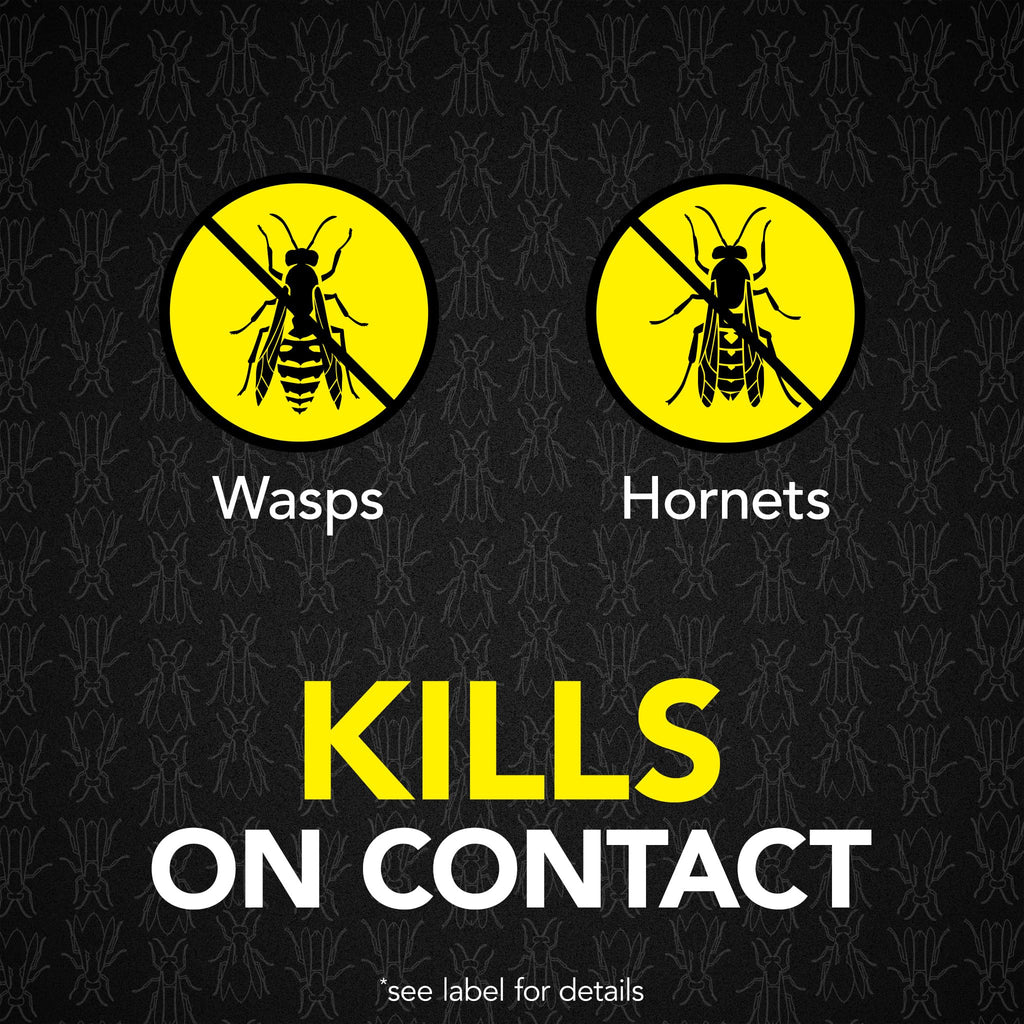 Raid MAX Foaming Wasp & Hornet Killer Bug Spray, 16.5 oz