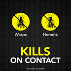 Raid MAX Foaming Wasp & Hornet Killer Bug Spray, 16.5 oz