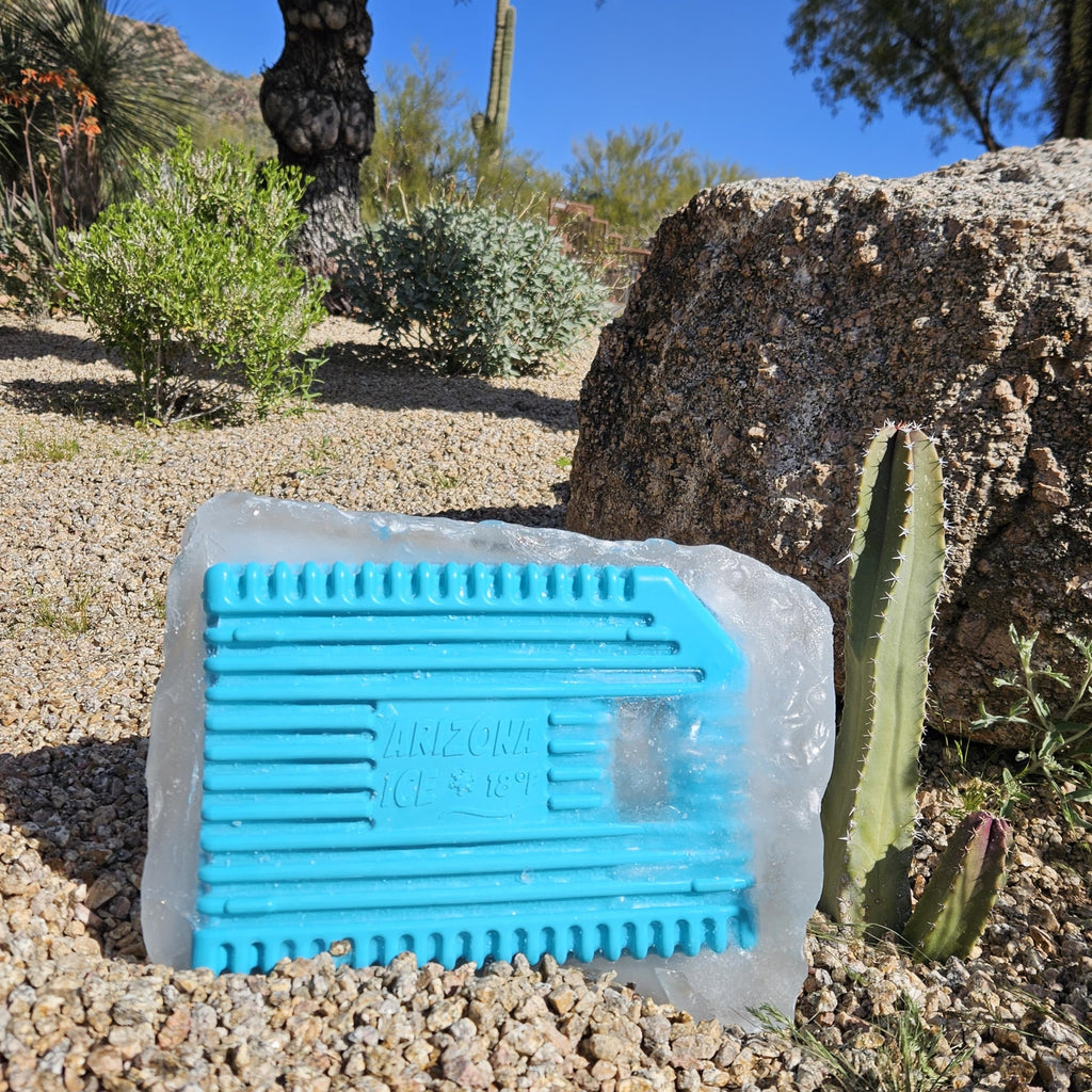 GoCJ Arizona Ice Large Industrial Ice Packs | Replaces 10lbs of Ice |18°F (-8°C) | Deepest Grooves | May Freeze Drinks | USA Company | 12" x 9" | Two Pack