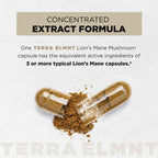 16x Strength Lions Mane Supplement Capsules Super Nootropic w. Ashwagandha & Rhodiola - Highest Potency 16:1 Lion's Mane Mushroom Extract 50% Polysaccharides Brain Supplements for Memory and Focus