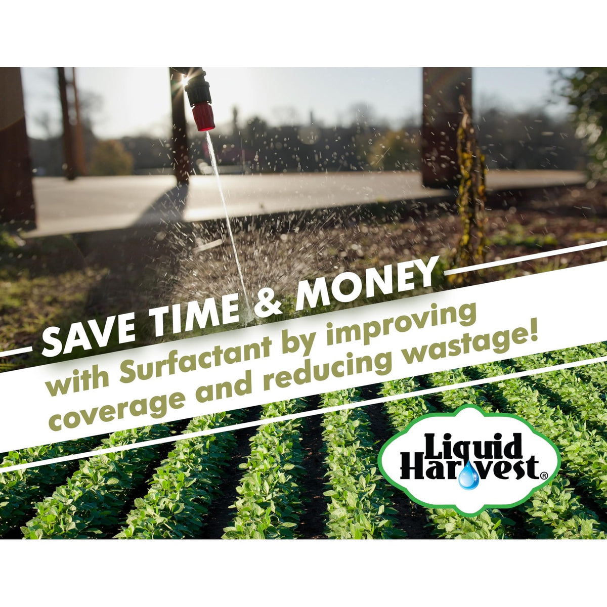 Liquid Harvest Concentrated Surfactant for Herbicides Non-Ionic 16oz, Increase Product Coverage, Increase Product Penetration, Increase Product Effectiveness