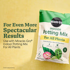 Miracle-Gro Indoor Plant Food Spikes for All Plants, 48 Spikes