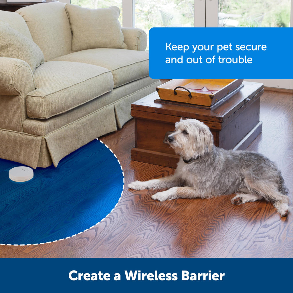 Buy now PetSafe Pawz Away Indoor Wireless Pet Barrier Transmitter, Extra Add-A-Barrier for Dogs & Cats at indiglob india