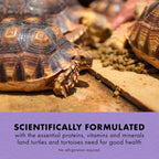 Buy now Zilla Land Turtle and Tortoise Extruded Food Pellets 6.5 Ounces at indiglob india
