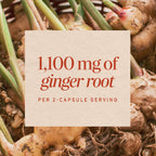 Nature's Way Ginger Root Capsules,1,100 mg per Serving, Vegan, 240 ct | Non-GMO Project Verified Ginger Supplement for Digestive Comfort and Motion-related Nausea Support*, 240 Capsules