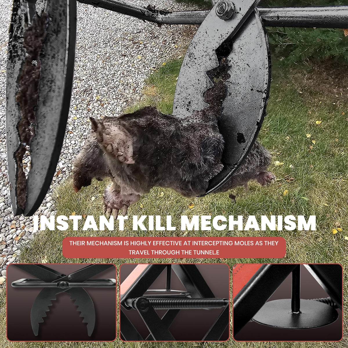 Mole Traps that Kill Best, 2 Pack Scissor Mole Trap, Sleek Black Stainless Steel Finish