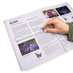 Buy now Carson MagniRead 1.5x Bar Magnifier (MR-25) at indiglob india