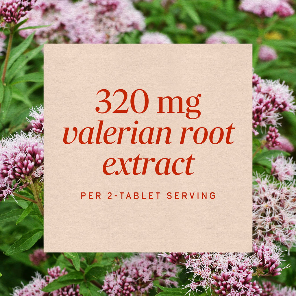 Nature's Way Valerian Nighttime, Valerian Root Sleep Support*, 100 Tablets