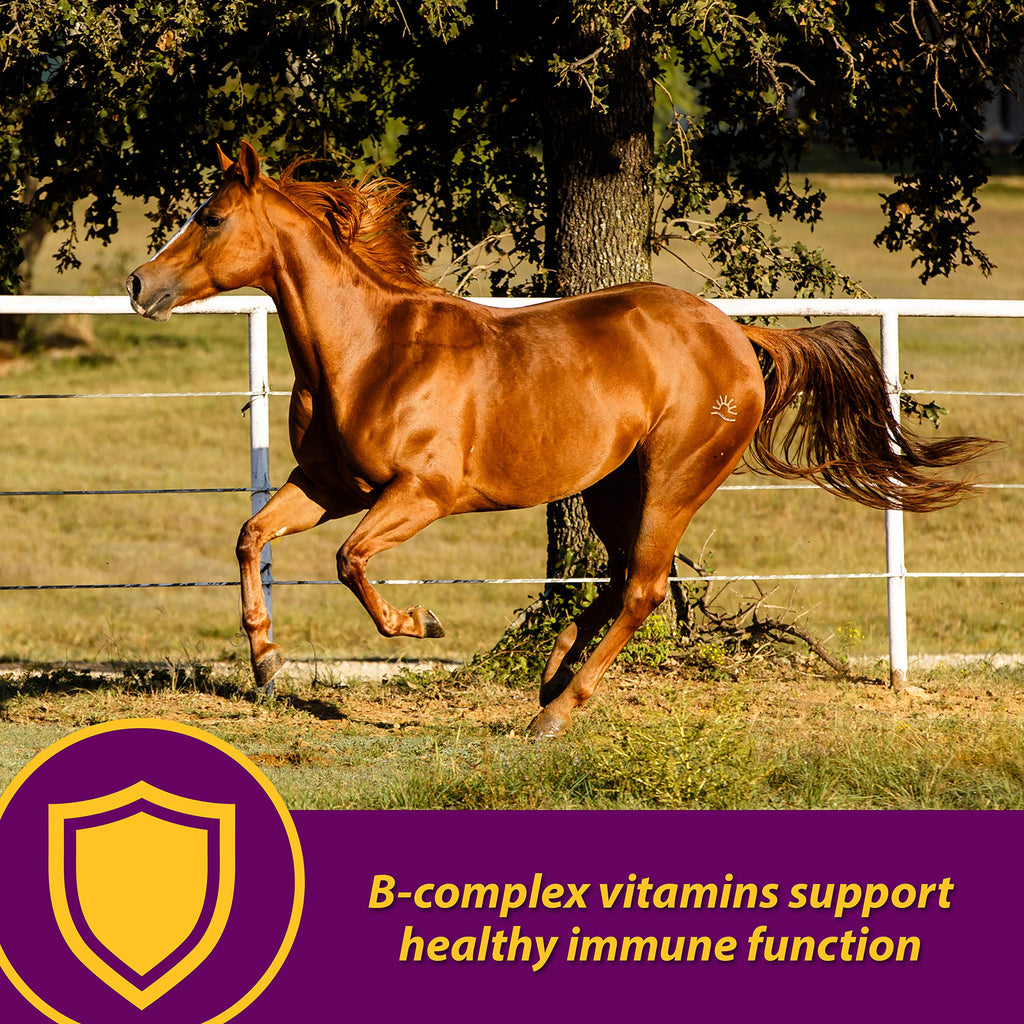 Horse Health Red Cell, Liquid Iron-Mineral Supplement 1 Qt, 16-Day Supply