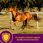 Horse Health Red Cell, Liquid Iron-Mineral Supplement 1 Qt, 16-Day Supply