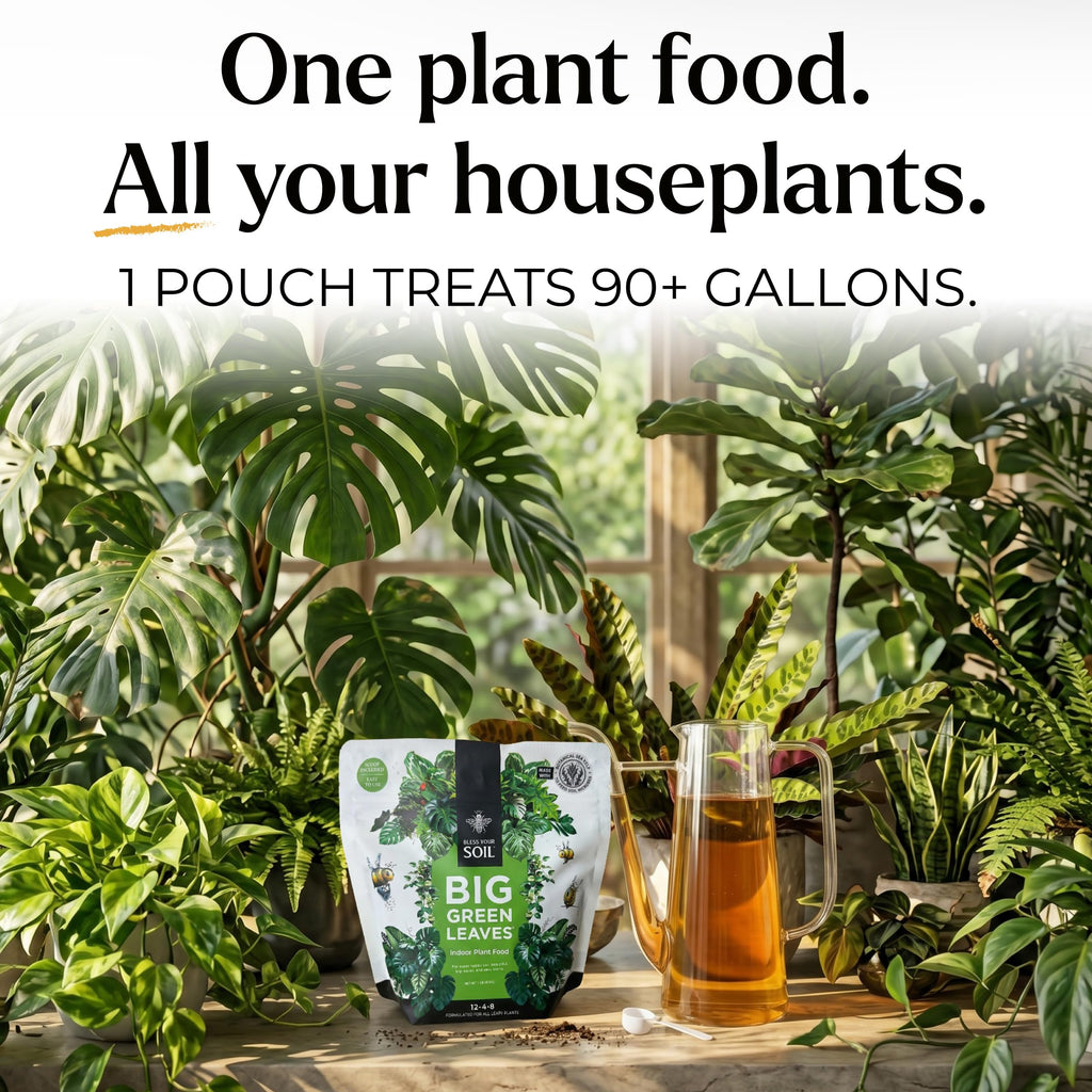 Big Green Leaves Indoor Plant Food – 4X Concentrated Fertilizer, 1 lb