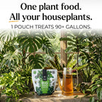 Big Green Leaves Indoor Plant Food – 4X Concentrated Fertilizer, 1 lb