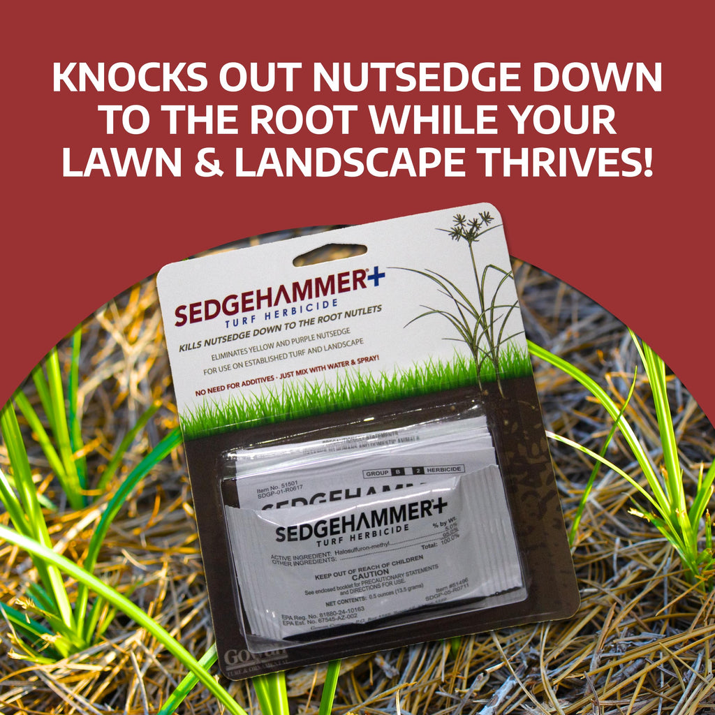 Sedgehammer Plus Turf Solution, 13.5 Grams, Nutsedge Control