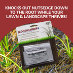 Sedgehammer Plus Turf Solution, 13.5 Grams, Nutsedge Control