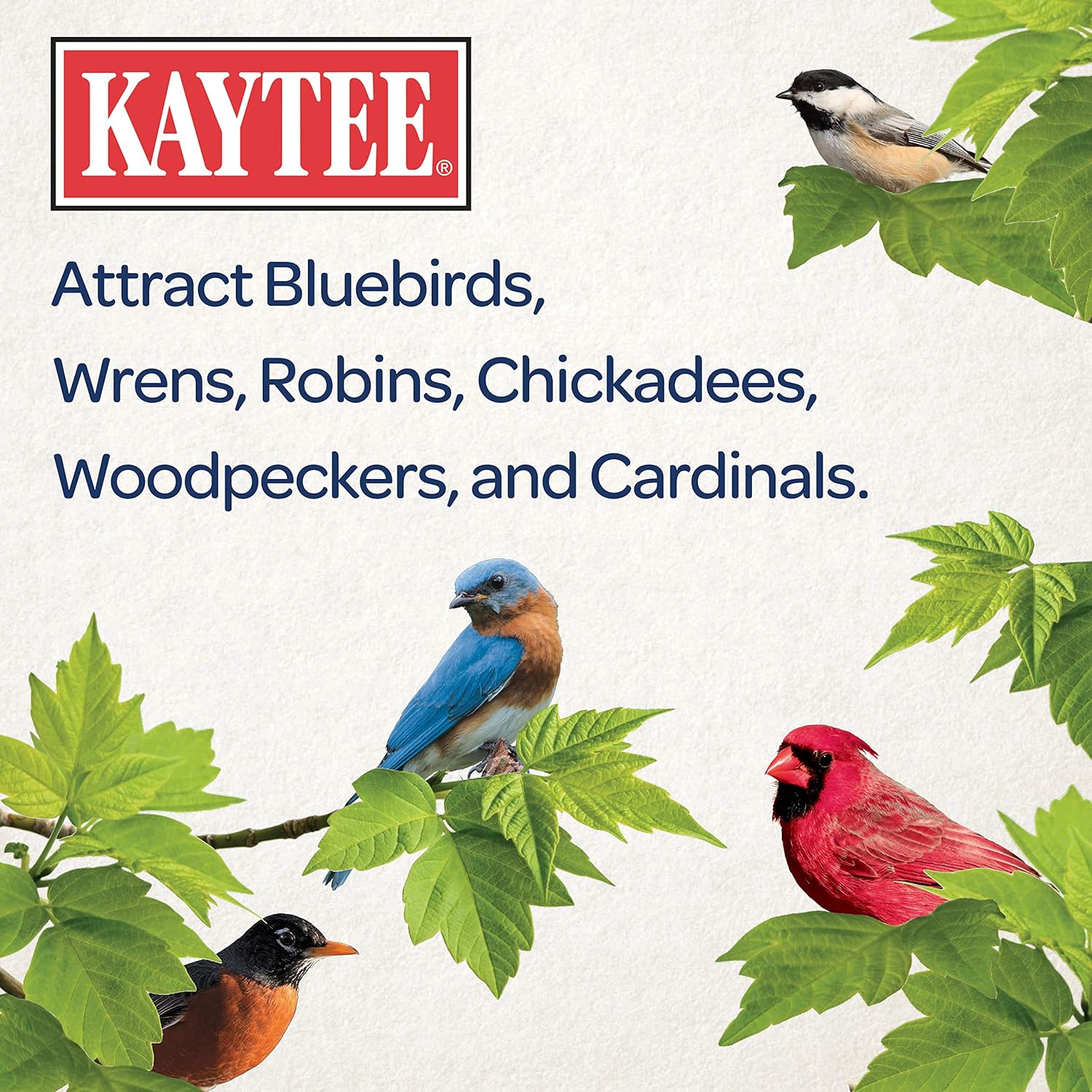 Buy now Kaytee Wild Bird Food Mealworms For Bluebirds, Wrens, Robins, Chickadees, Woodpeckers, Cardinals & Chickens, 3.5 Ounce at indiglob india