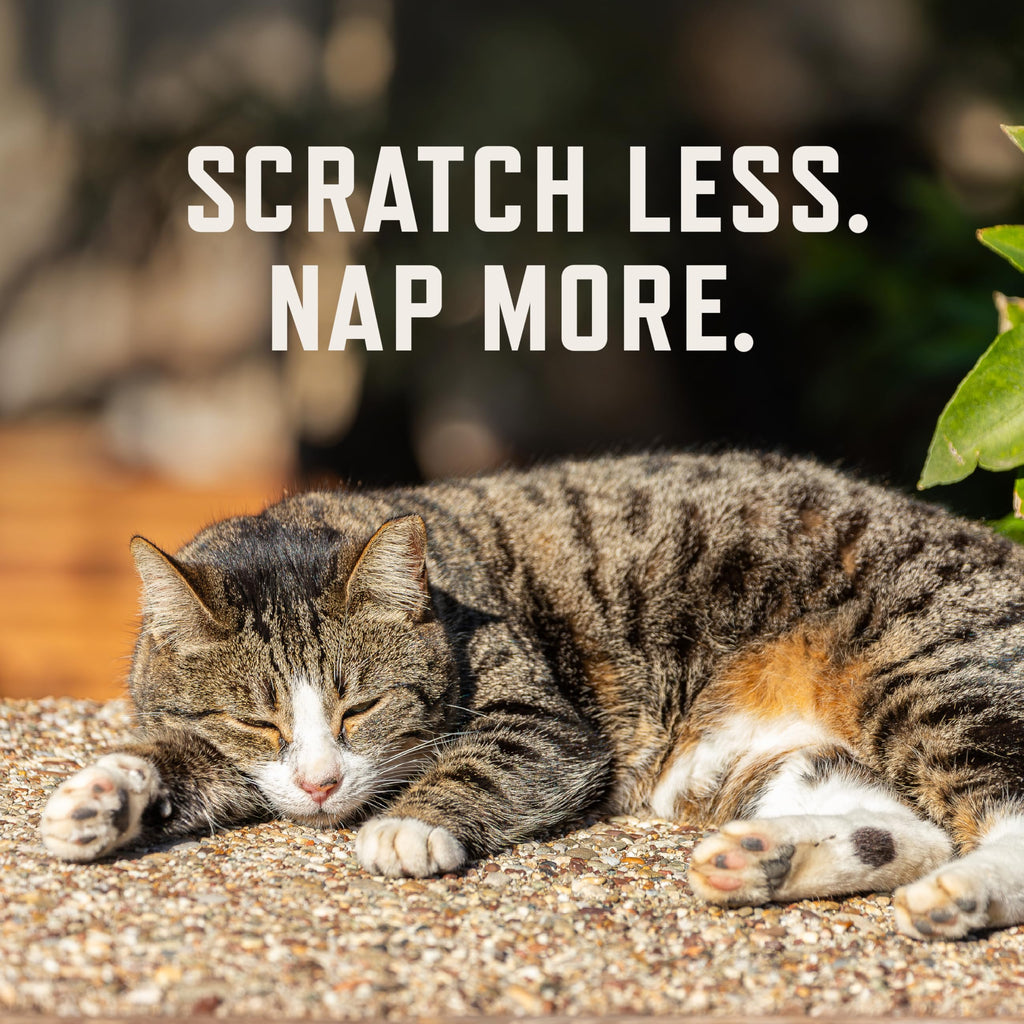 Rocco & Roxie Cat Seasonal Allergy Relief Chews, Probiotics & Fish Oil