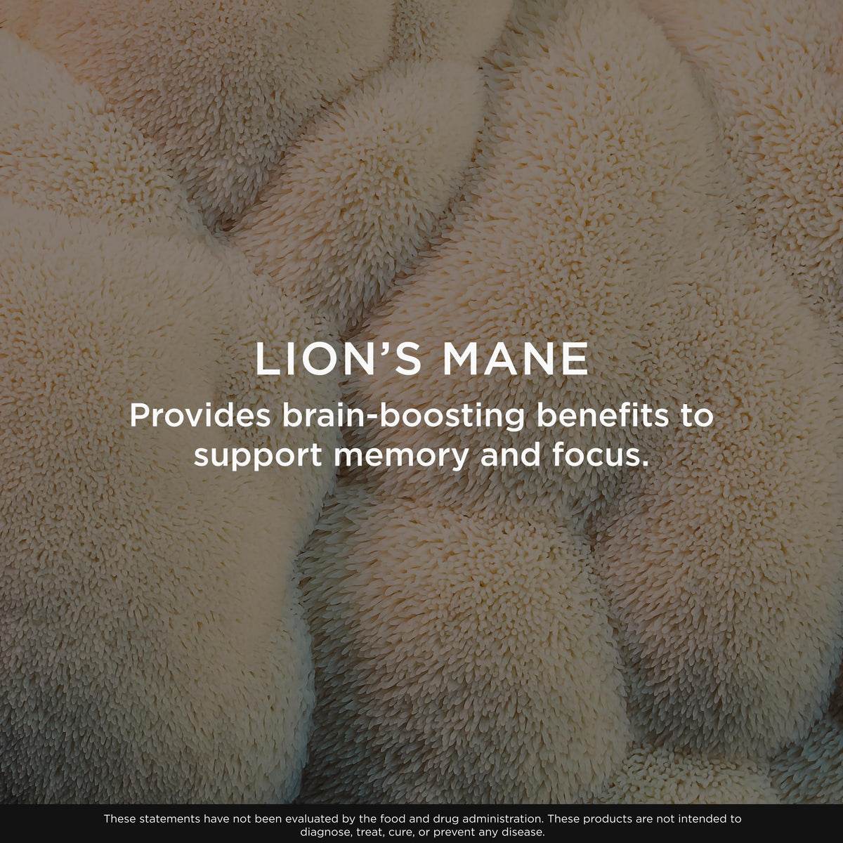 The Genius Brand Genius Lion's Mane, Memory & Focus, 120 Veggie Ct