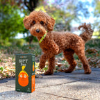 Dog Poop Bags - 60 Count Unscented Leakproof - Stable Genius