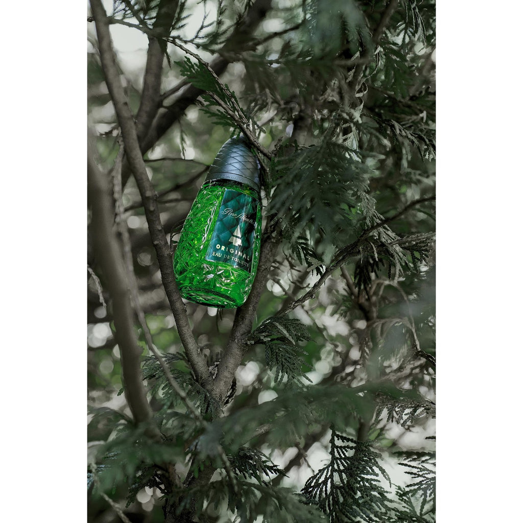 Buy now Pino Silvestre Original By Pino Silvestre For Men - A Men's Eau De Toilette Cologne Perfume Spray With A Million Dollar Fragrance - An Extreme Pheromone For The Classic Man In Your Life - 4.2 Oz at indiglob india