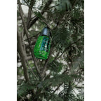 Buy now Pino Silvestre Original By Pino Silvestre For Men - A Men's Eau De Toilette Cologne Perfume Spray With A Million Dollar Fragrance - An Extreme Pheromone For The Classic Man In Your Life - 4.2 Oz at indiglob india