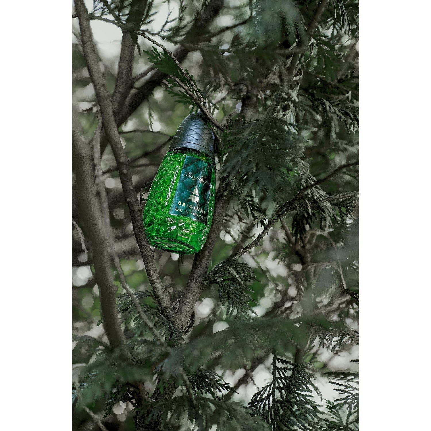 Buy now Pino Silvestre Original By Pino Silvestre For Men - A Men's Eau De Toilette Cologne Perfume Spray With A Million Dollar Fragrance - An Extreme Pheromone For The Classic Man In Your Life - 4.2 Oz at indiglob india
