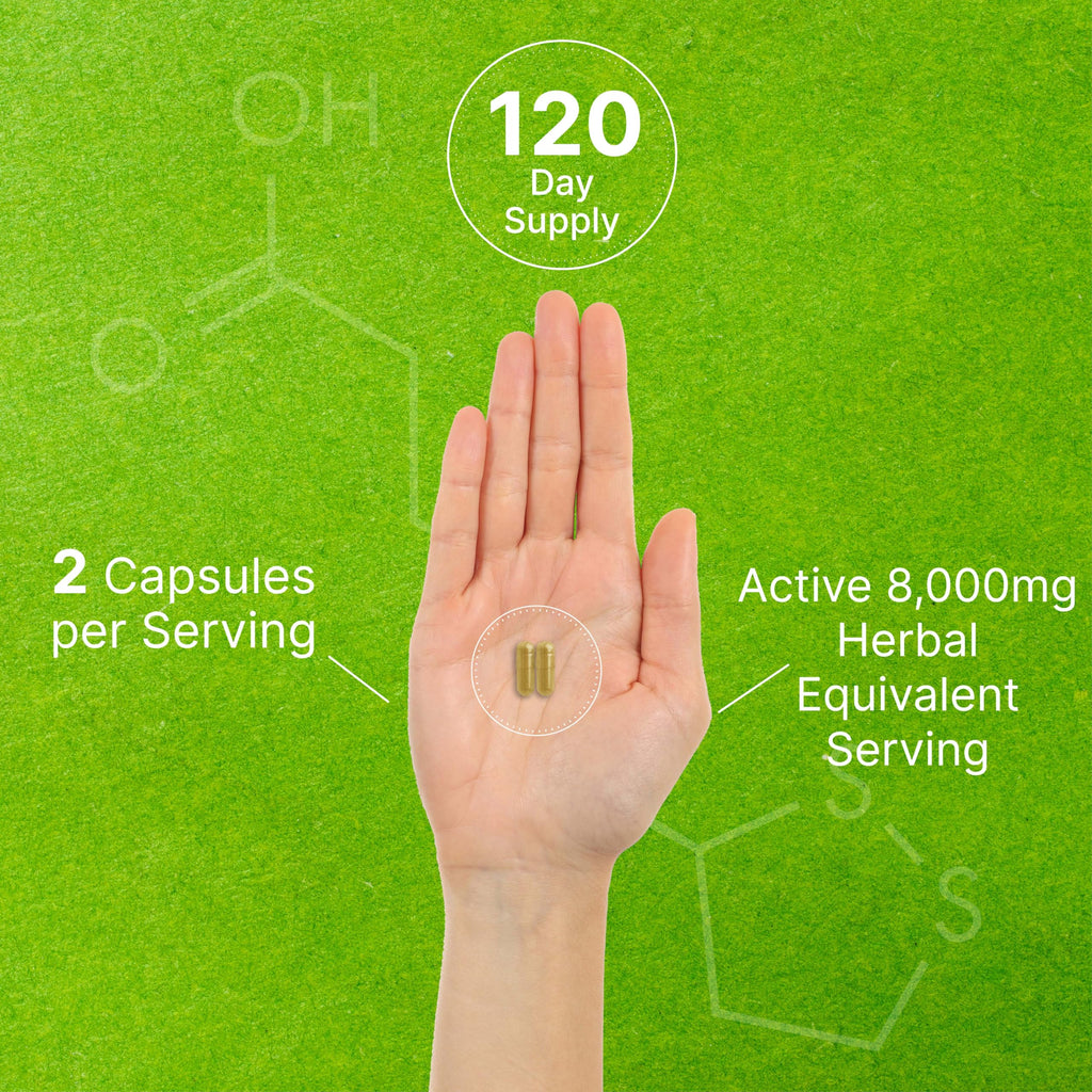 Organic 10-in-1 Mushroom Supplement, 240 Capsules – Lions Mane, Turkey Tail, Reishi, Cordyceps & More Mushroom Complex – Immune, Energy & Nootropic Brain Support – Non-GMO