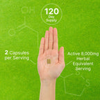 Organic 10-in-1 Mushroom Supplement, 240 Capsules – Lions Mane, Turkey Tail, Reishi, Cordyceps & More Mushroom Complex – Immune, Energy & Nootropic Brain Support – Non-GMO