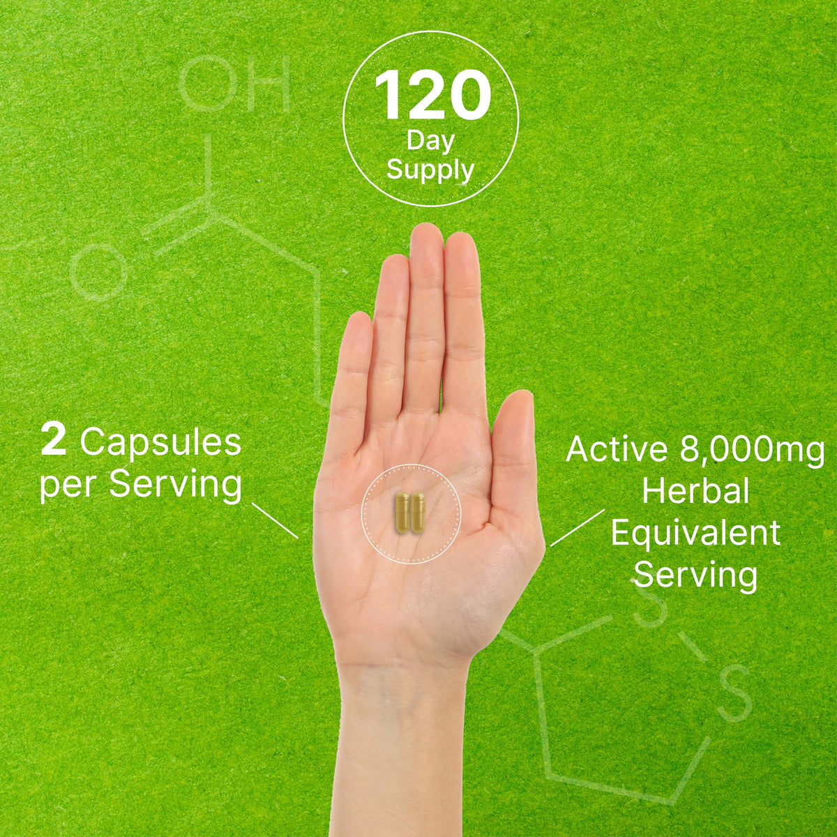 Organic 10-in-1 Mushroom Supplement, 240 Capsules – Lions Mane, Turkey Tail, Reishi, Cordyceps & More Mushroom Complex – Immune, Energy & Nootropic Brain Support – Non-GMO