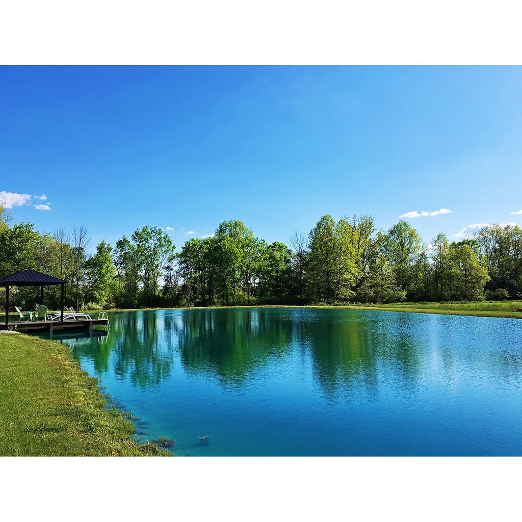 Pond Worx Blue Lake and Pond Dye - 4X Concentrated Liquid Pond Colorant - Treats up to 1 Acre - 1 Quart