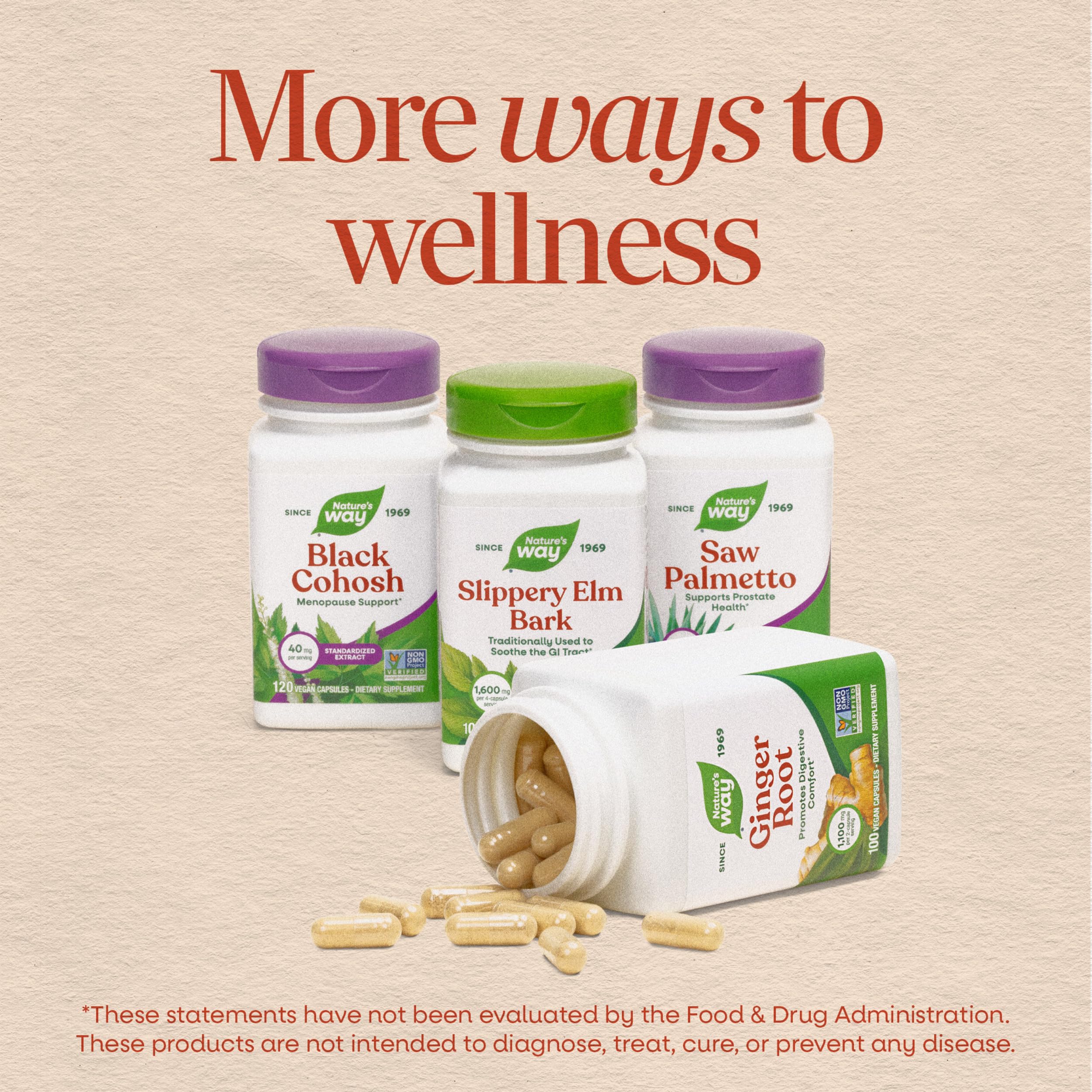 Nature's Way Horse Chestnut Extract, Supports Healthy Leg Veins*, 90 ct | Premium Extract, Standardized to 20% Aescin, Non-GMO Project Verified, Gluten Free, Vegan, 90 Capsules
