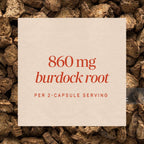 Nature's Way Burdock Root, Capsules for Traditional Joint Support*, 100 ct