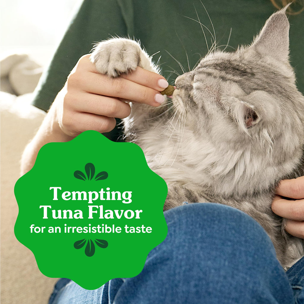 Buy now Greenies Cat Treats, Veterinarian-Recommended Adult Natural Dental Cat Treats, Tempting Tuna Flavor, 21 oz. Tub at indiglob india