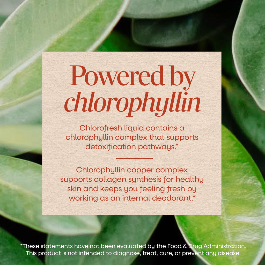 Nature's Way Chlorofresh Liquid Chlorophyll, Chlorophyllin Copper Complex, Internal Deodorant Supplement, Supports Healthy Skin and Detox Pathways*, Mint Flavored, 16 fl oz