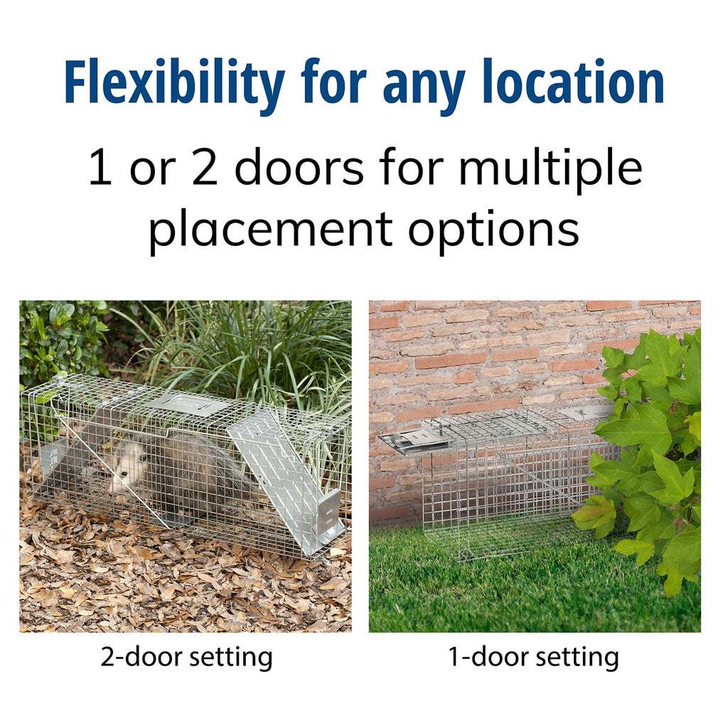 Buy now Havahart Large 2 Door Humane Catch and Release Live Animal Trap for Armadillos, Beavers, Bobcats, Small Dogs, Cats, Foxes, Groundhogs, Nutria, Opossums, Raccoons, Live Catch Trap for Stray Dogs 1045SR at indiglob india