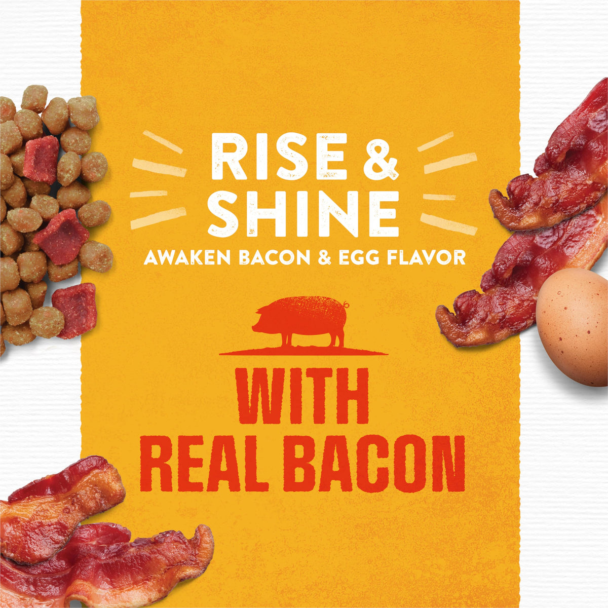 Purina Moist & Meaty Rise and Shine Soft Dog Food, 36 ct. Box