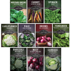 Cool Season Vegetable Seeds Variety Pack for Planting