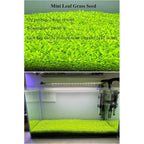 Buy now Aquarium Mini L.e.a.f 2 Bags at indiglob india