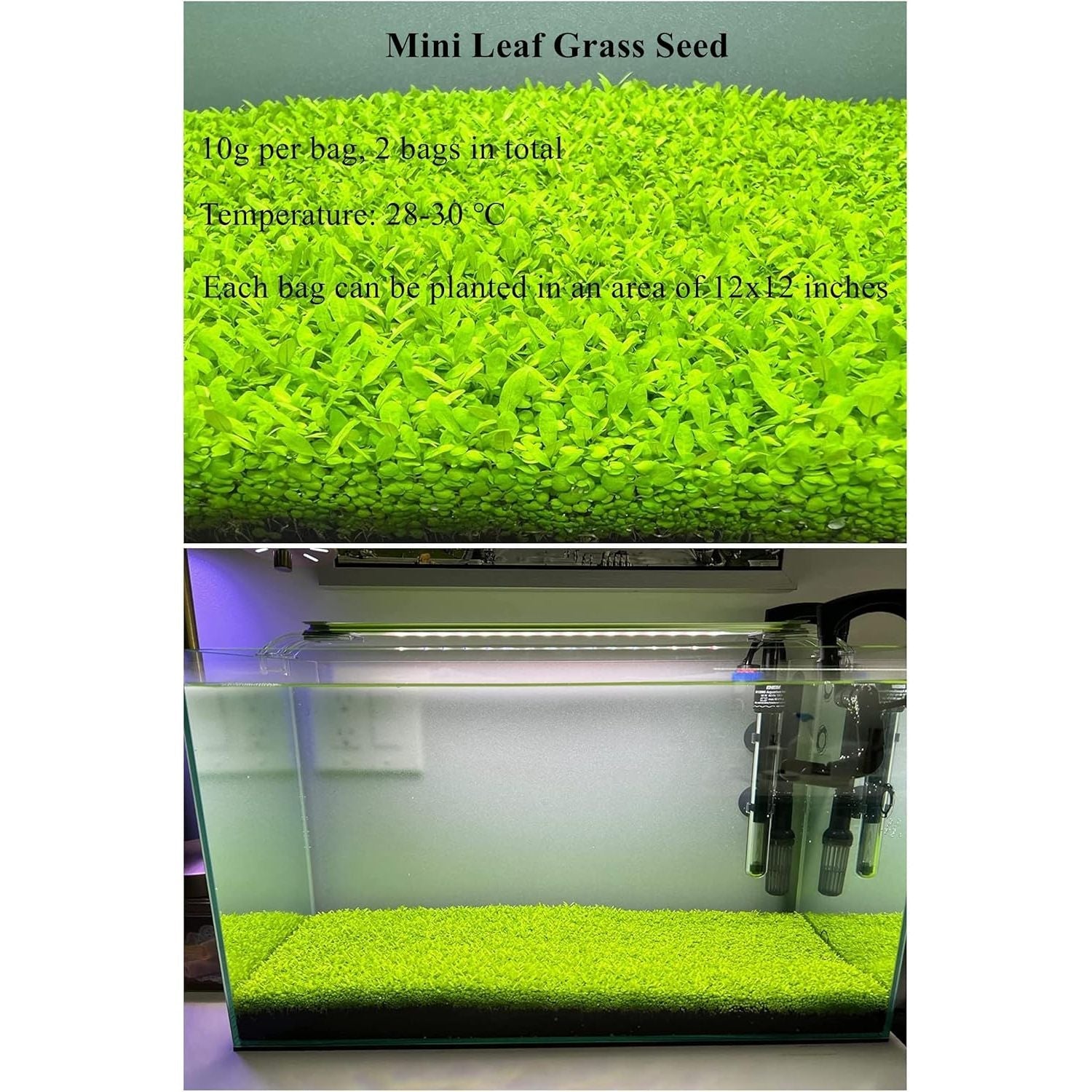 Buy now Aquarium Mini L.e.a.f 2 Bags at indiglob india