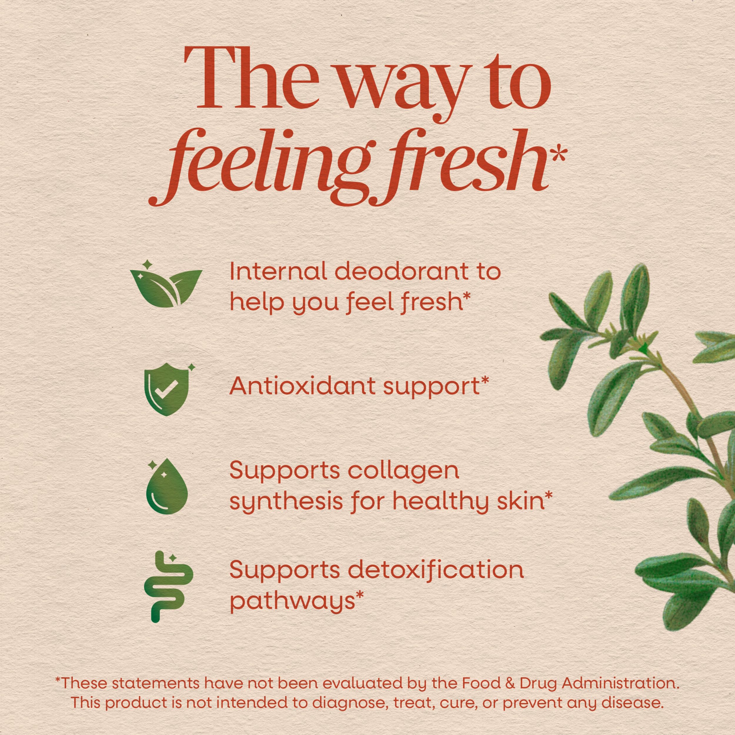 Nature's Way Chlorofresh Chlorophyll Concentrate Softgels, 90 ct | Chlorophyllin Copper Complex, Internal Deodorant Supplement, Supports Healthy Skin & Detox Pathways*, 45 Day Supply