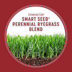 Pennington Smart Seed Perennial Rye Grass Seed Plus Fertilizer, 3 lb