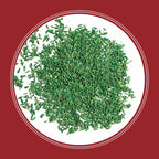 Pennington Smart Seed Perennial Rye Grass Seed Plus Fertilizer, 3 lb