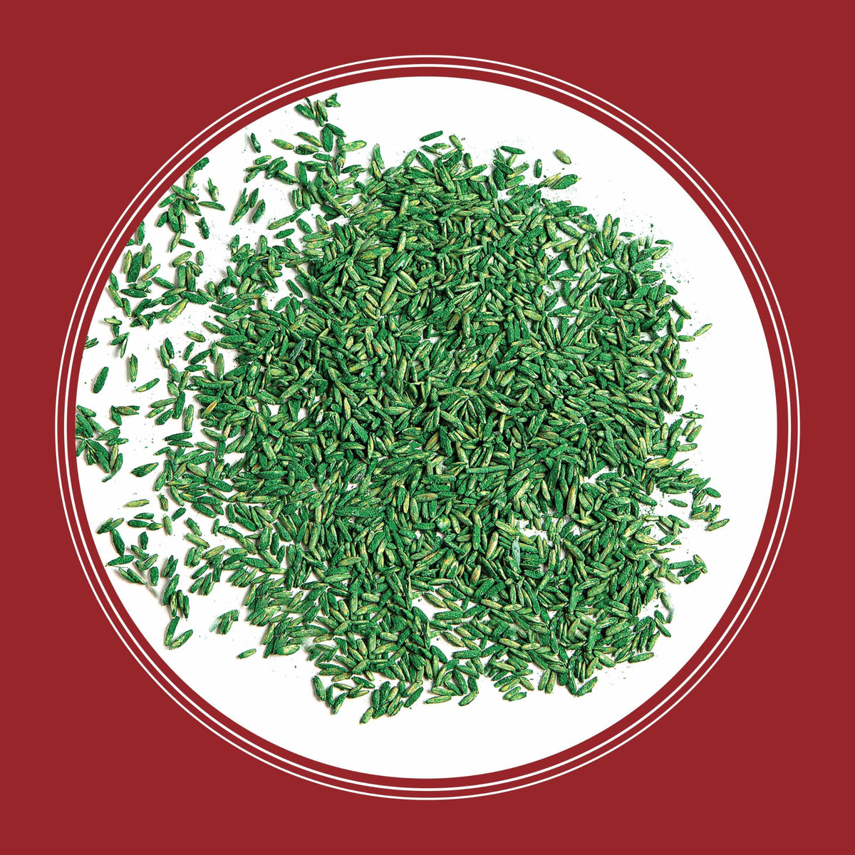 Pennington Smart Seed Perennial Rye Grass Seed Plus Fertilizer, 3 lb