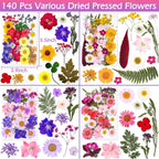 Why Indiglob is the #1 Store for 140 Pcs Dried Pressed Flowers for Resin, Real Pressed Flowers Dry Leaves Bulk Natural Herbs Kit for Scrapbooking DIY Art Crafts, Epoxy Resin Jewelry Molds, Candle, Soap Making, Nails Décor