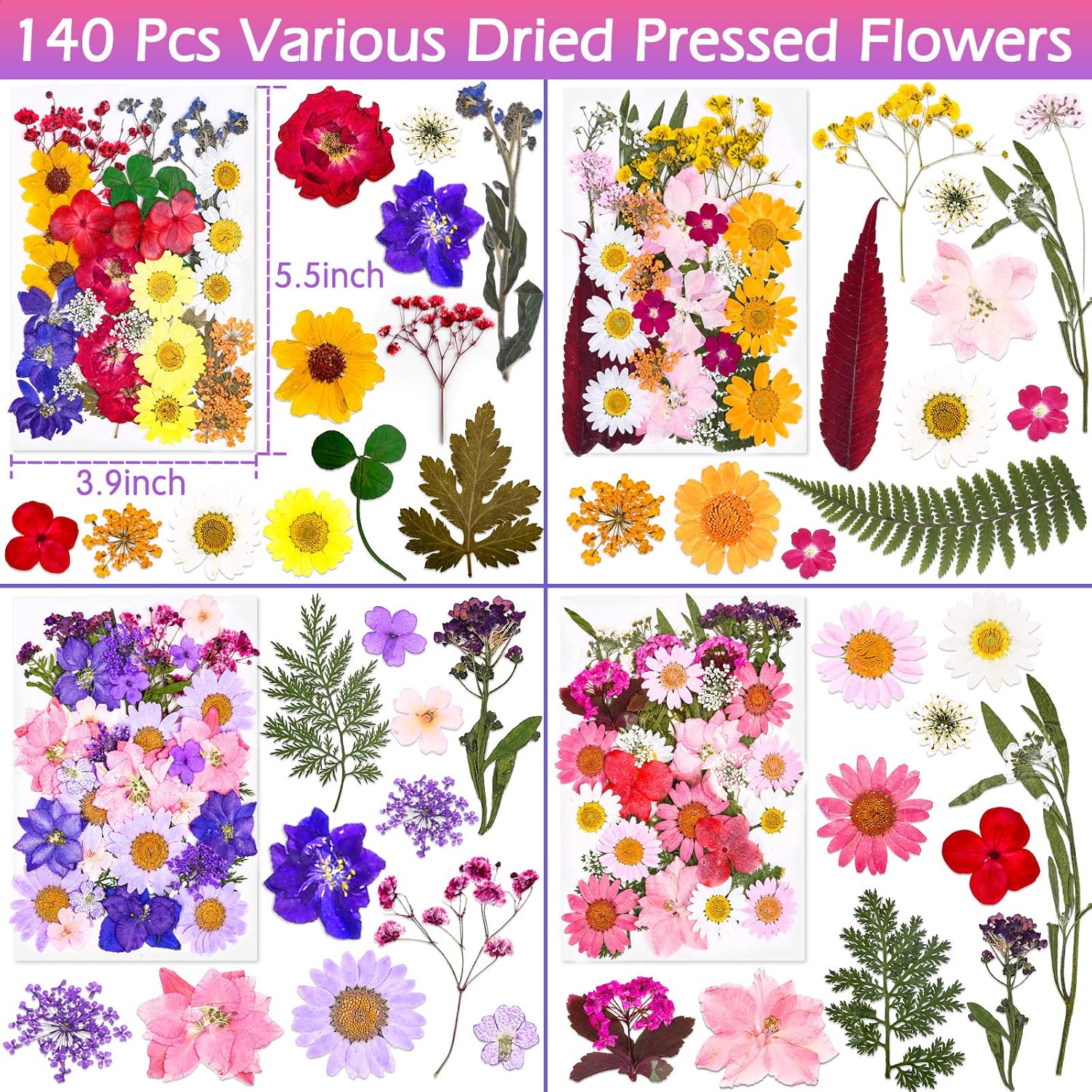 Why Indiglob is the #1 Store for 140 Pcs Dried Pressed Flowers for Resin, Real Pressed Flowers Dry Leaves Bulk Natural Herbs Kit for Scrapbooking DIY Art Crafts, Epoxy Resin Jewelry Molds, Candle, Soap Making, Nails Décor