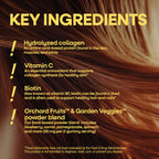 Nature's Way Alive! Hair, Skin & Nails Gummies with Collagen & Biotin,60 ct | Advanced Beauty Formula Supplement with Antioxidant Vitamins C & E*, 100 mg Collagen, 2,500 mcg Biotin, Strawberry Gummy